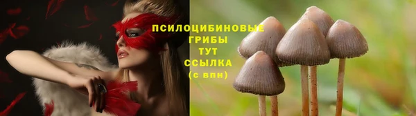 спайс Бородино