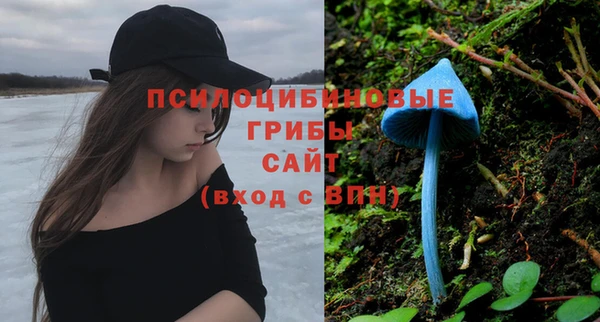 спайс Бородино