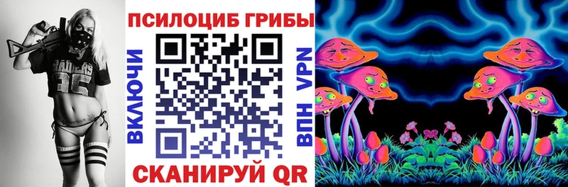 Псилоцибиновые грибы Psilocybine cubensis  OMG рабочий сайт  Орехово-Зуево  где купить наркотик 